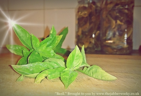 A few sprigs of basil beneath a wash of unnecessary photo filters