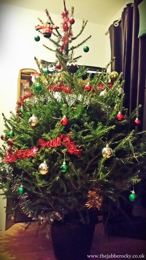 This year's Christmas tree